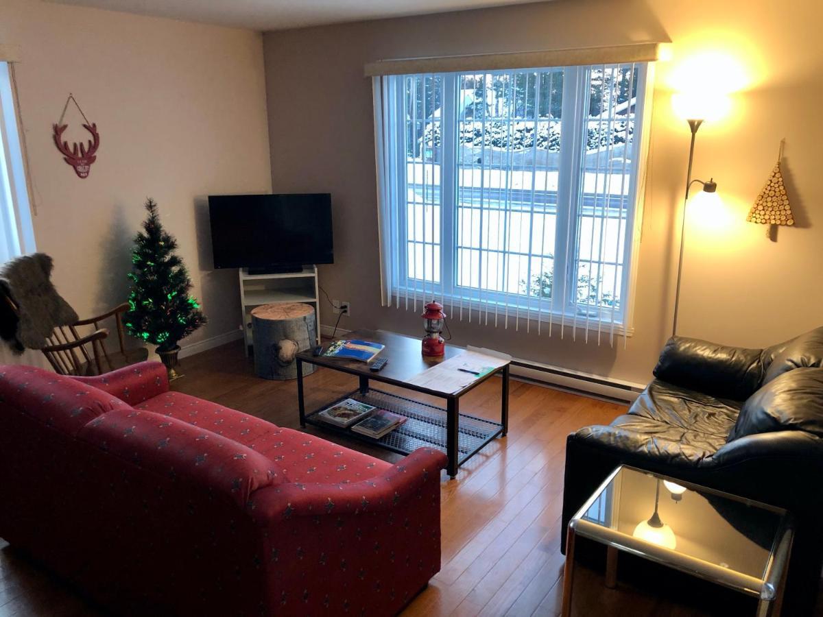 Le Chalet De Claude, Au Pied Des Monts-Valin Saint-David-de-Falardeau エクステリア 写真