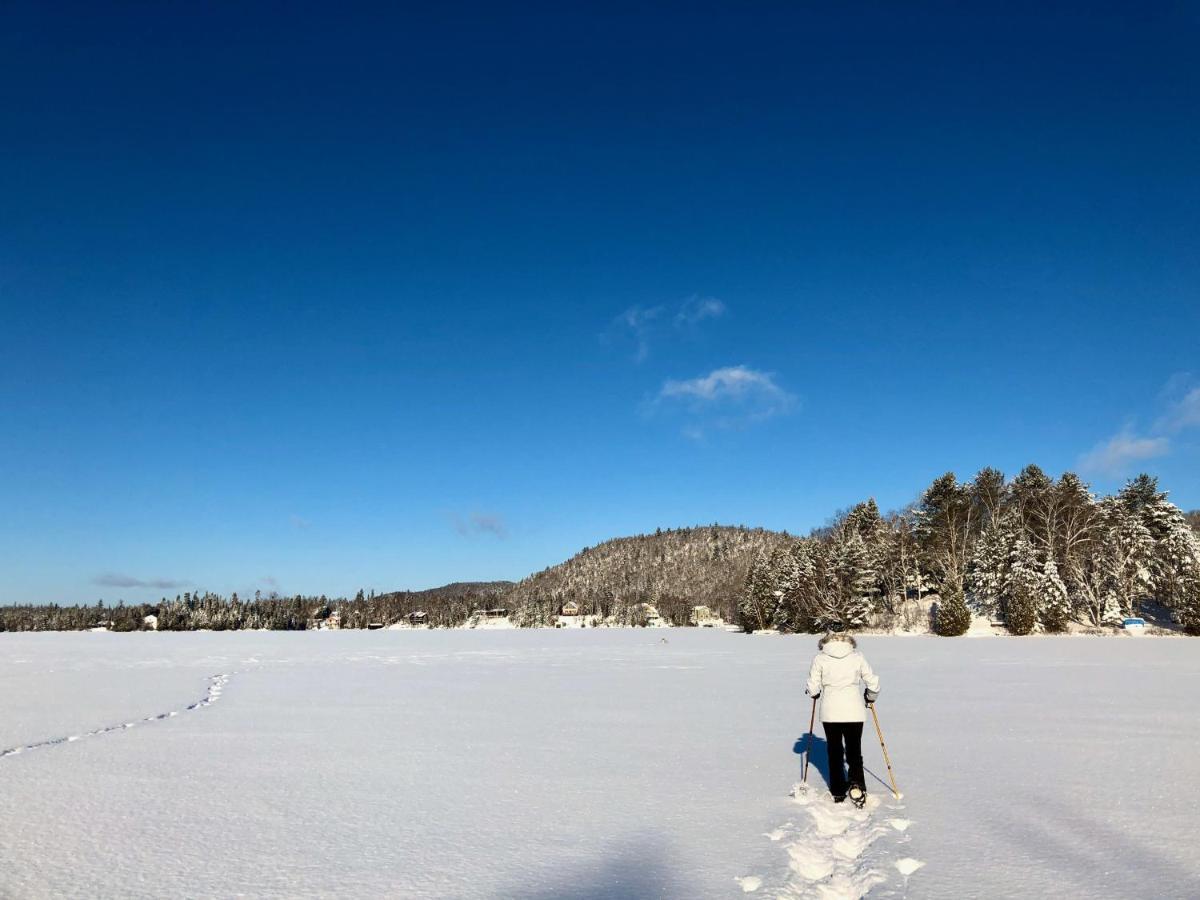 Le Chalet De Claude, Au Pied Des Monts-Valin Saint-David-de-Falardeau エクステリア 写真