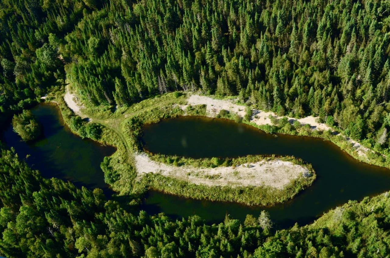 Le Chalet De Claude, Au Pied Des Monts-Valin Saint-David-de-Falardeau エクステリア 写真