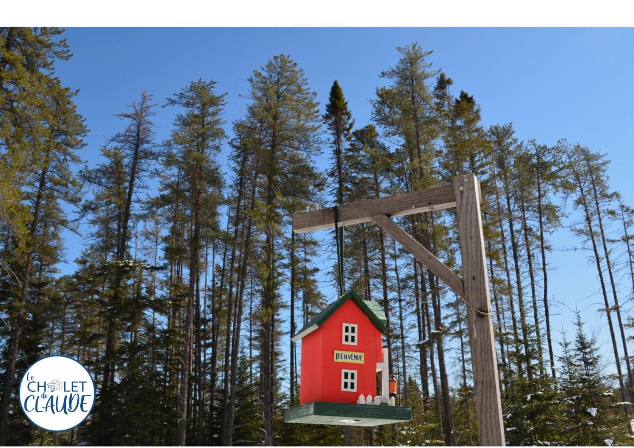 Le Chalet De Claude, Au Pied Des Monts-Valin Saint-David-de-Falardeau エクステリア 写真