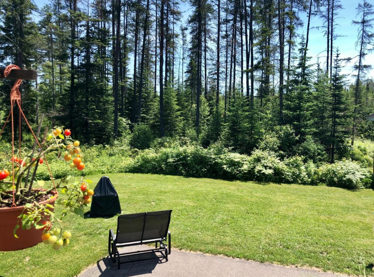 Le Chalet De Claude, Au Pied Des Monts-Valin Saint-David-de-Falardeau エクステリア 写真